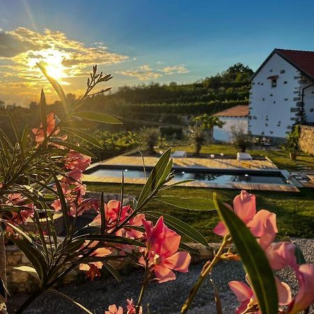 Skerlj Wine Estate Guest House Tomaj Exterior photo
